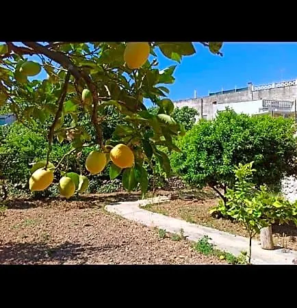 فندق مبيت وإفطار L'antico Ortale كاروفينيو